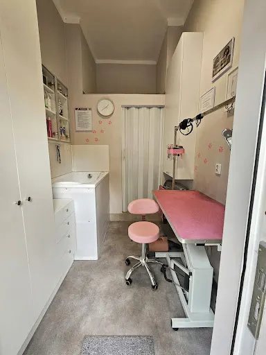 PIESzczotka Salon groomerski